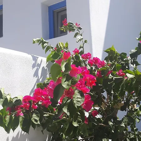 Depis Edem Luxury Villa Pláka